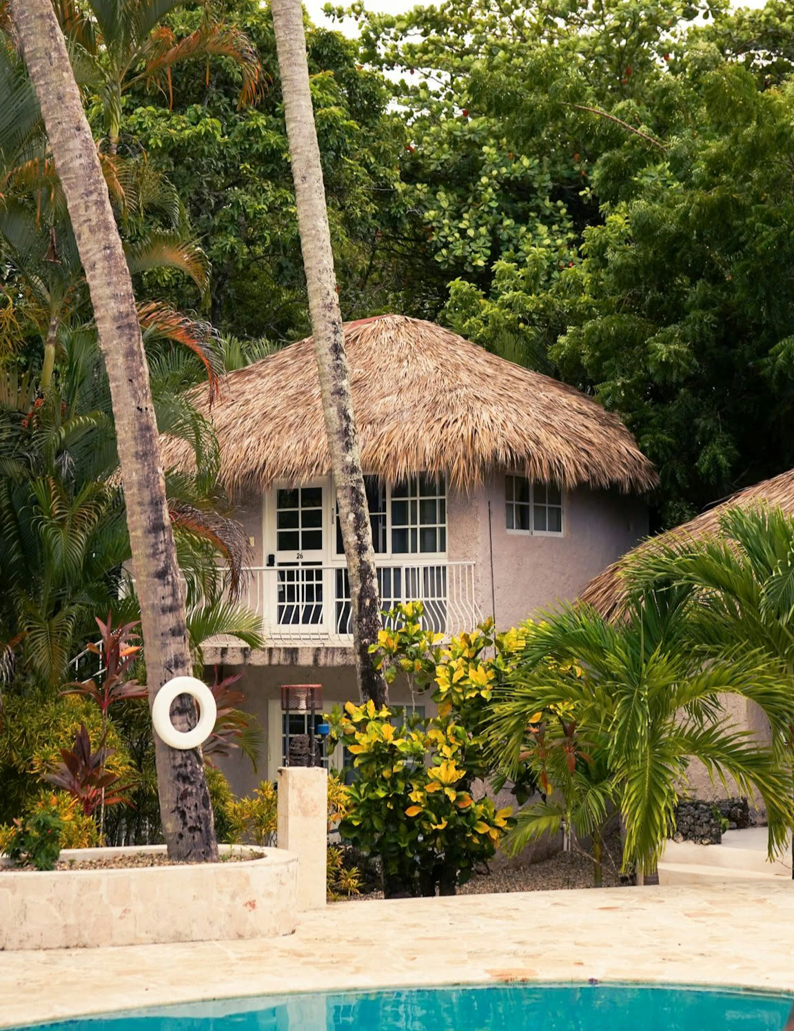 El Kaoba tropical surroundings
