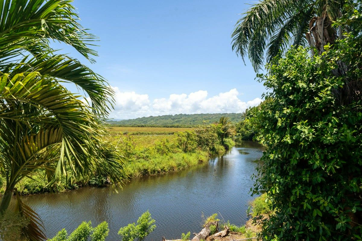 El Kaoba tropical surroundings